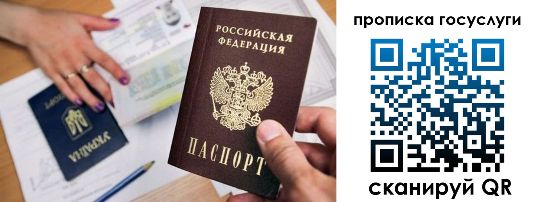 временная прописка в Новороссийске